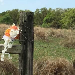 Meet your Posher, Heidi